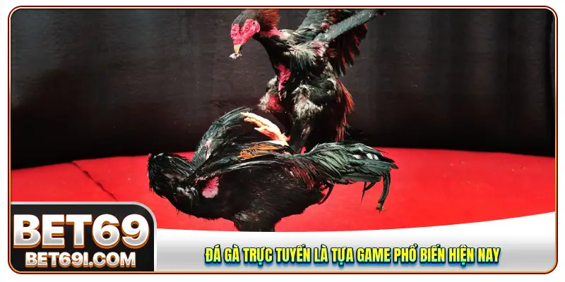 Đá gà trực tuyến là tựa game phổ biến hiện nay
