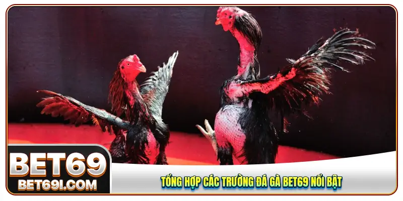 Tổng hợp các trường đá gà BET69 nổi bật