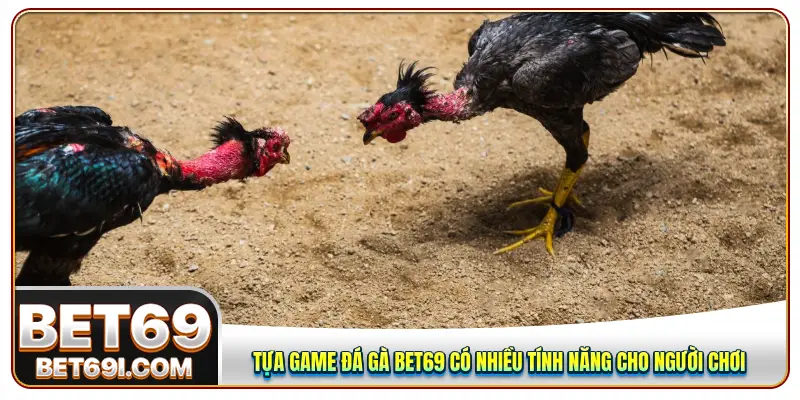 Tựa game đá gà BET69 có nhiều tính năng cho người chơi